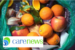 Logo et mise en situation Carenews